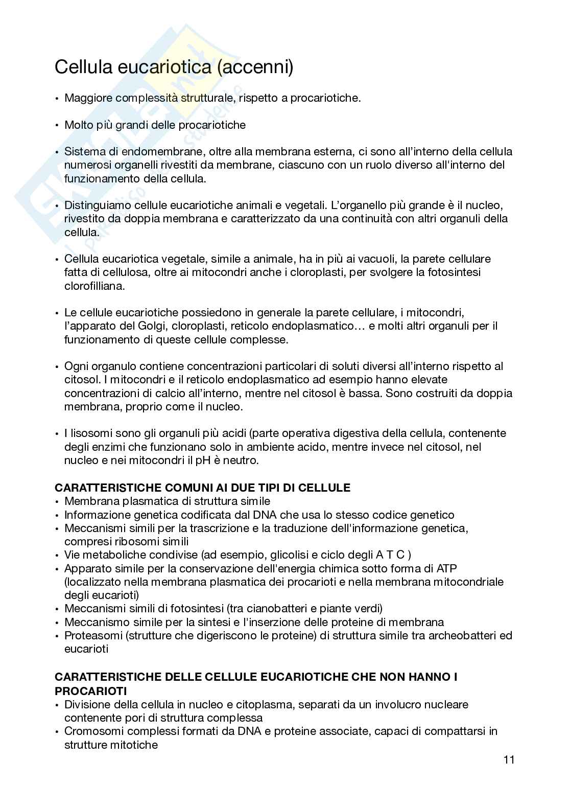 Biologia e genetica - semestre filtro, parte 1 Pag. 11