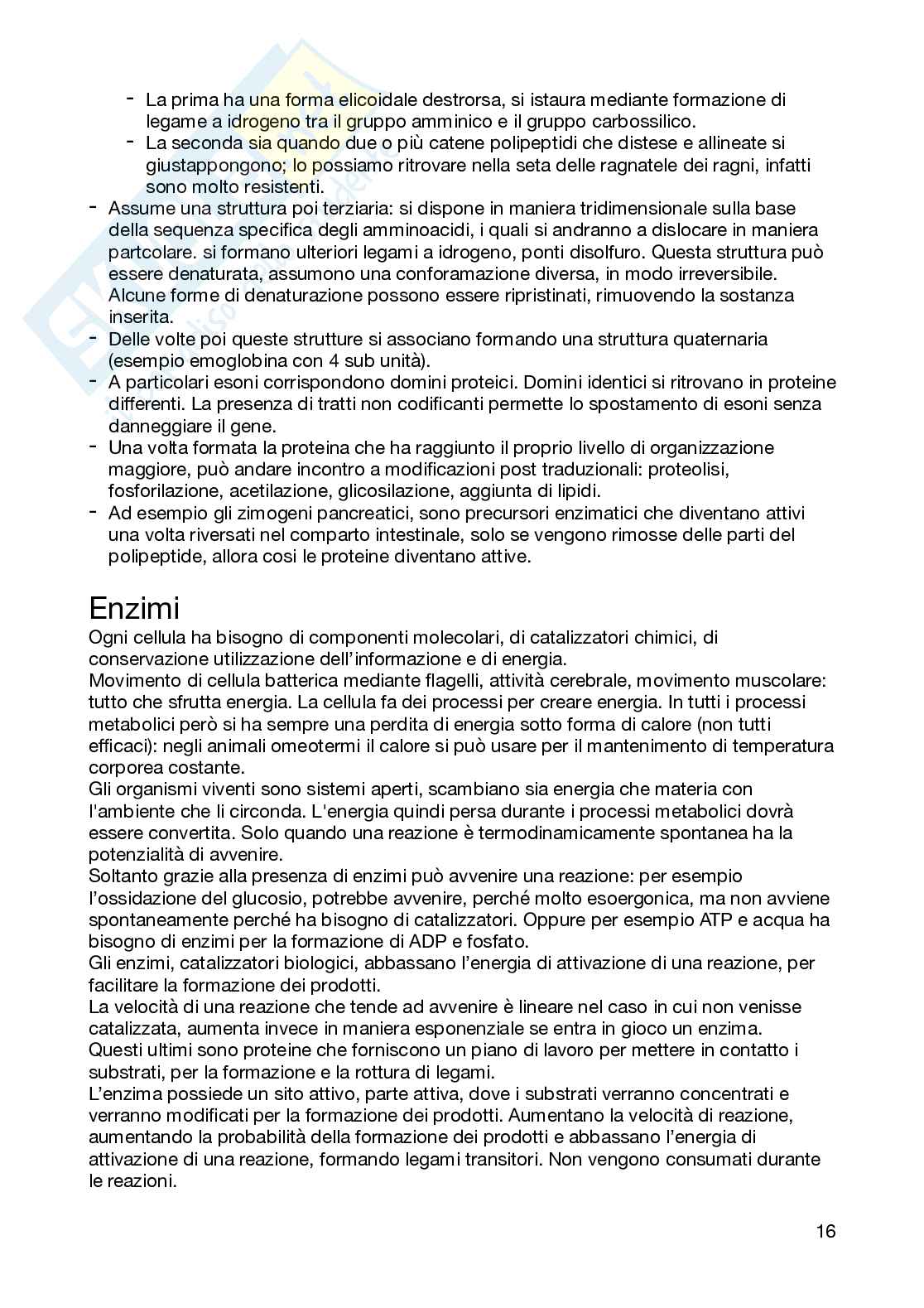 Biologia e genetica - semestre filtro, parte 1 Pag. 16