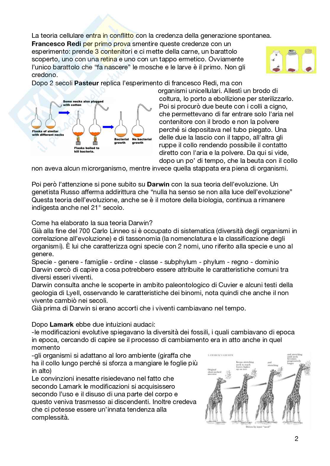 Biologia e genetica - semestre filtro, parte 1 Pag. 2