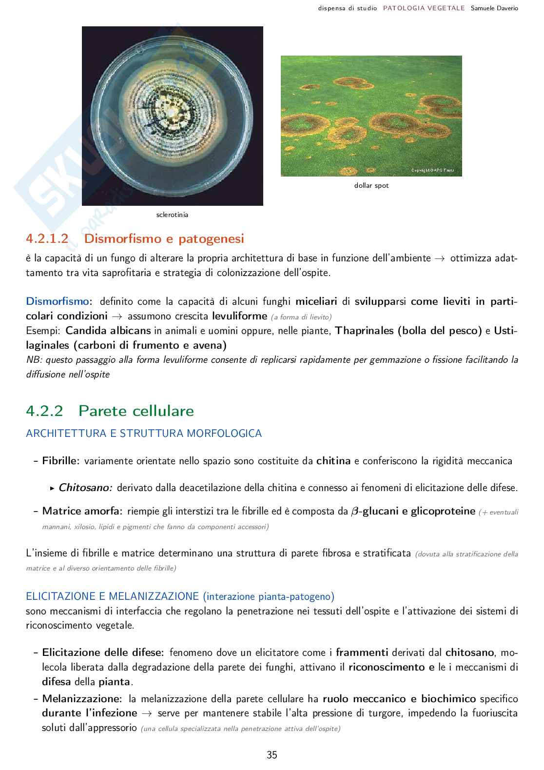 Patologia agraria - Corso completo Pag. 36