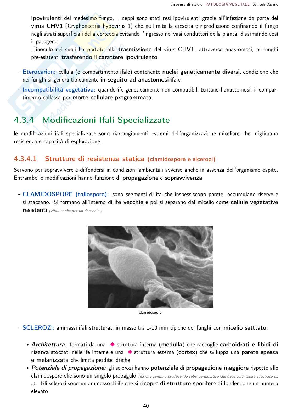Patologia agraria - Corso completo Pag. 41