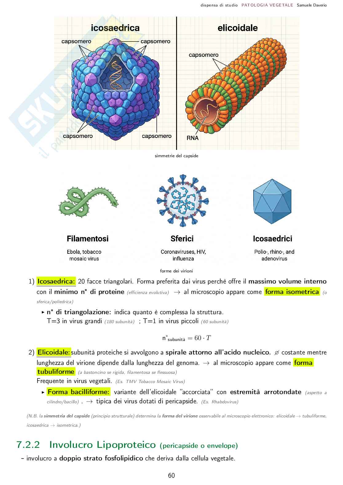Patologia agraria - Corso completo Pag. 61