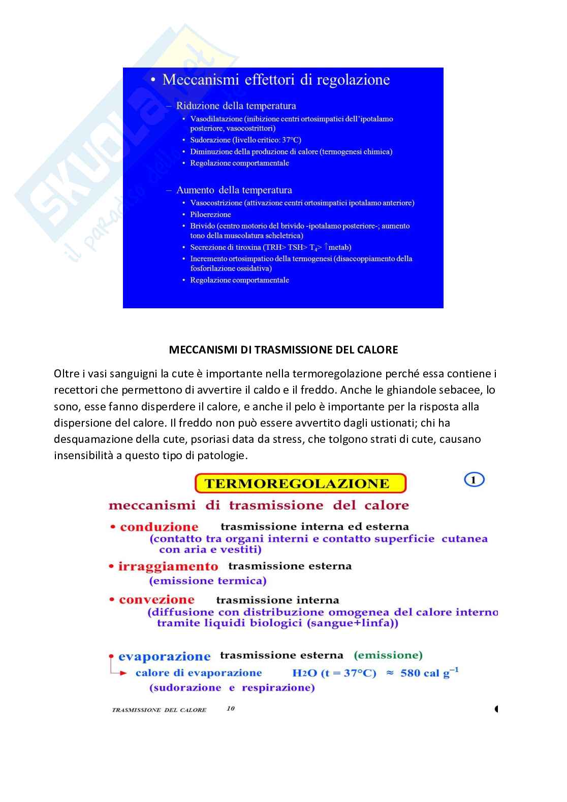 Appunti infermieristica clinica 1 Pag. 16