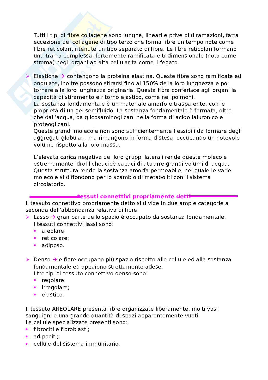 Anatomia umana Pag. 11