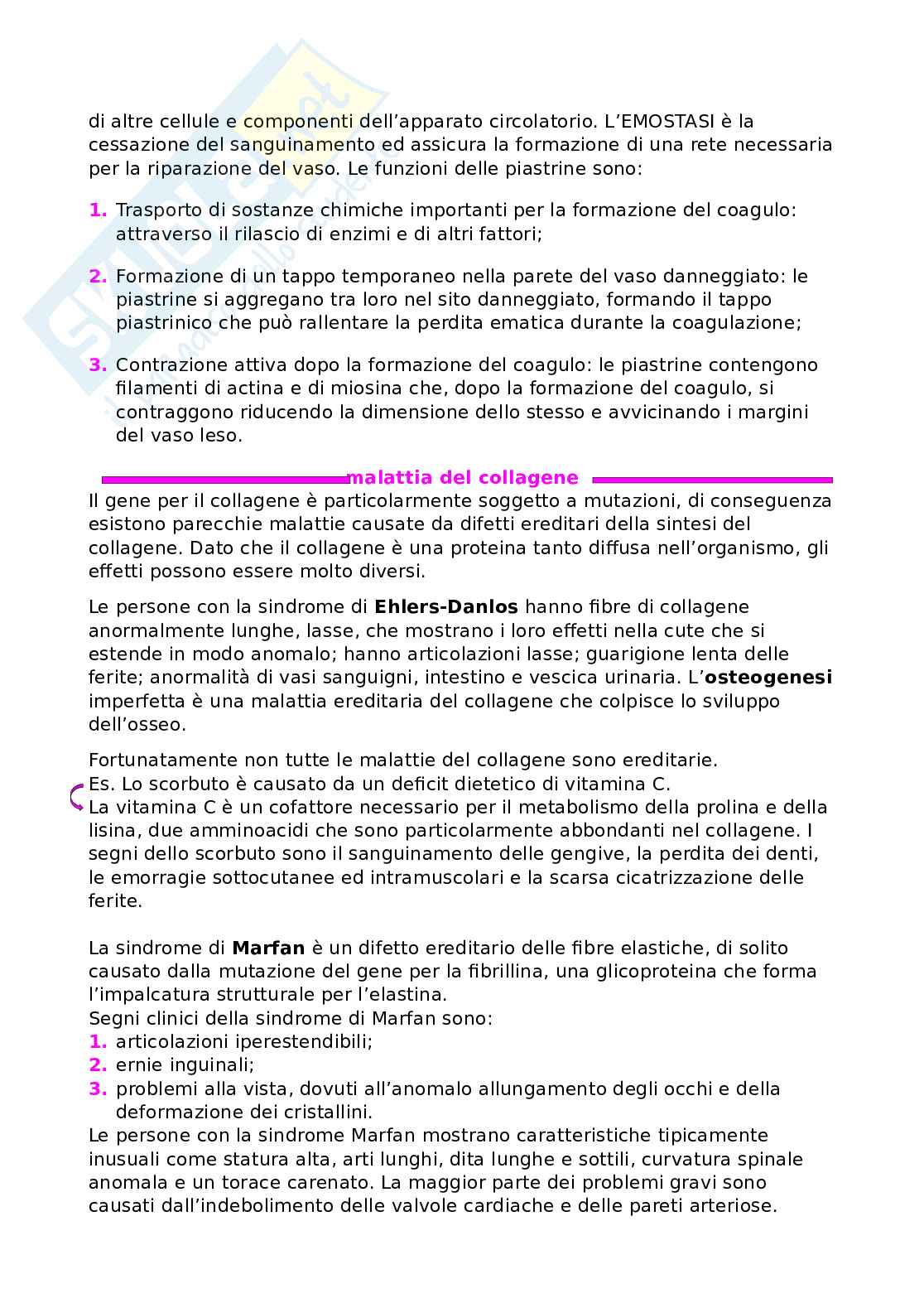 Anatomia umana Pag. 16