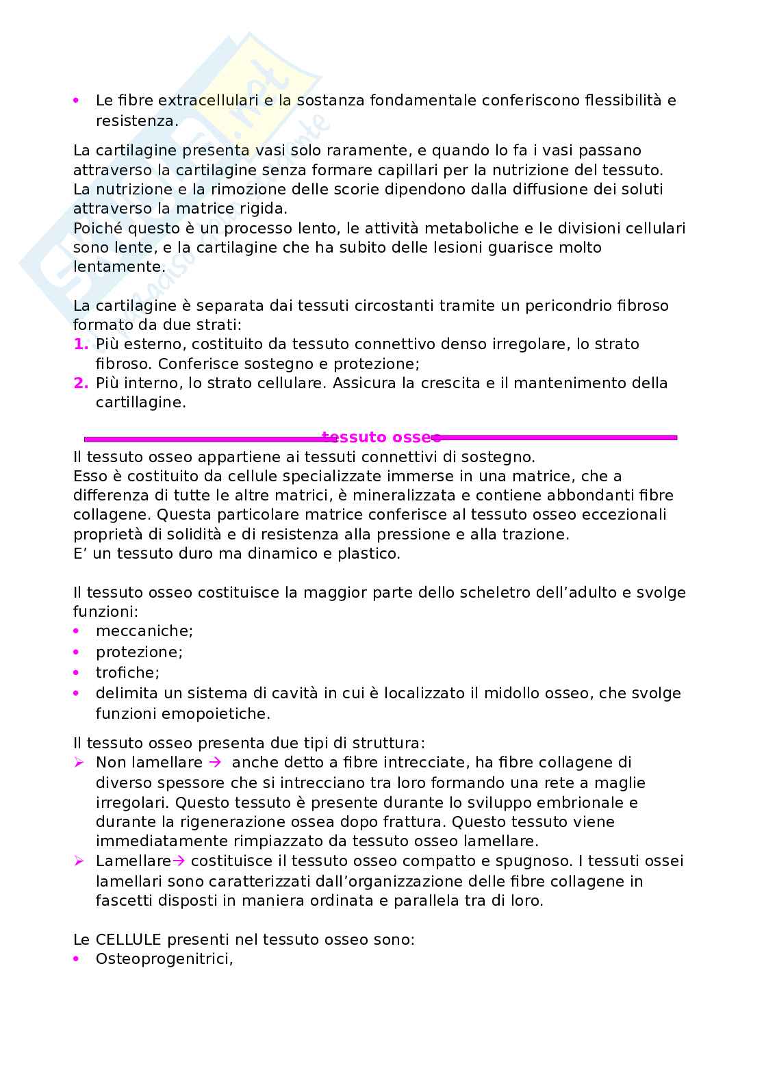 Anatomia umana Pag. 21