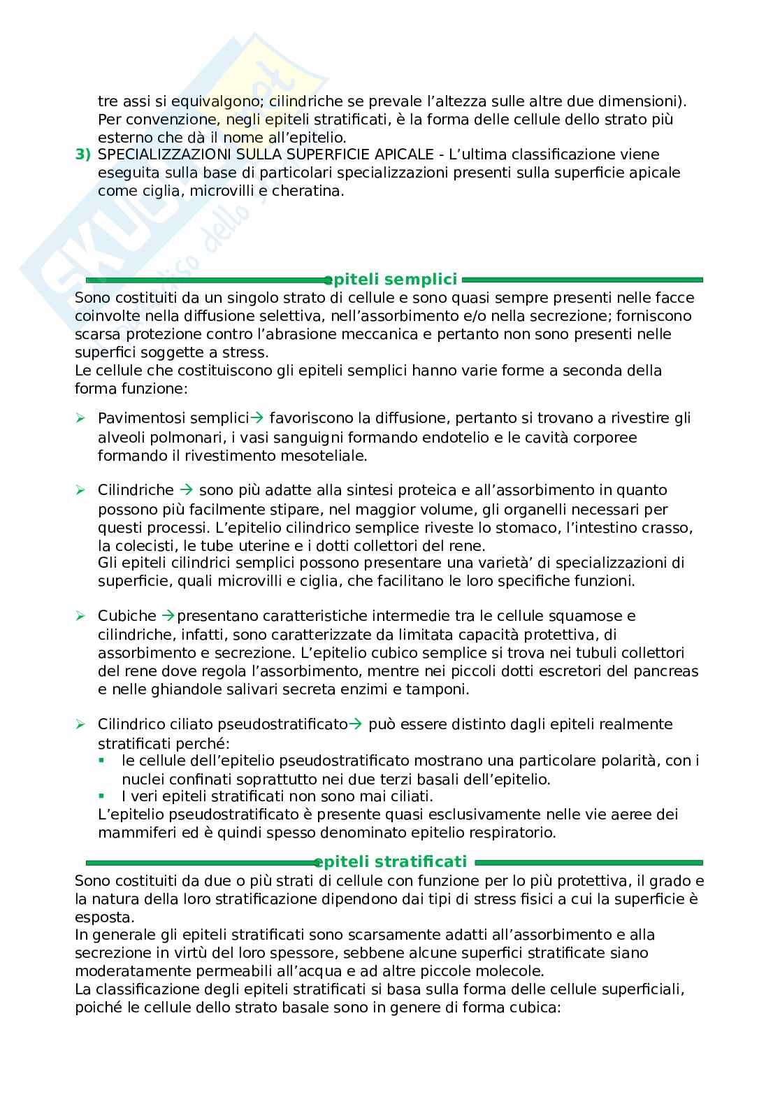 Anatomia umana Pag. 6