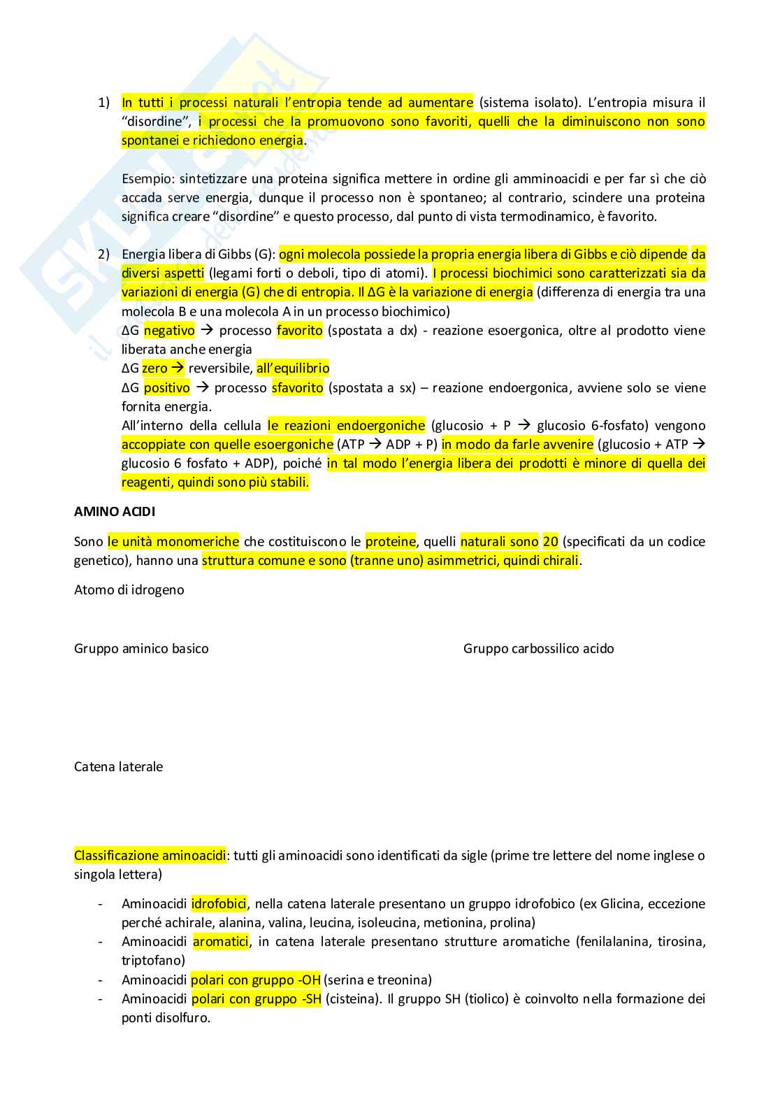 Appunti Biochimica  Pag. 2