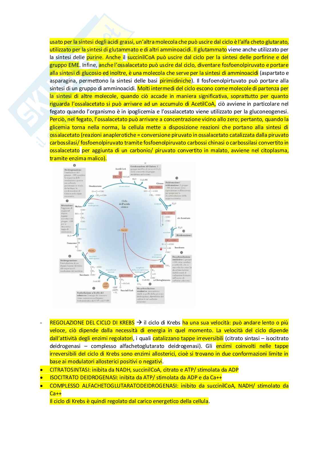 Appunti Biochimica  Pag. 26