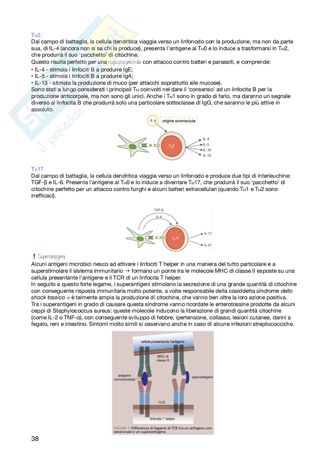 Immunologia 2  Pag. 11