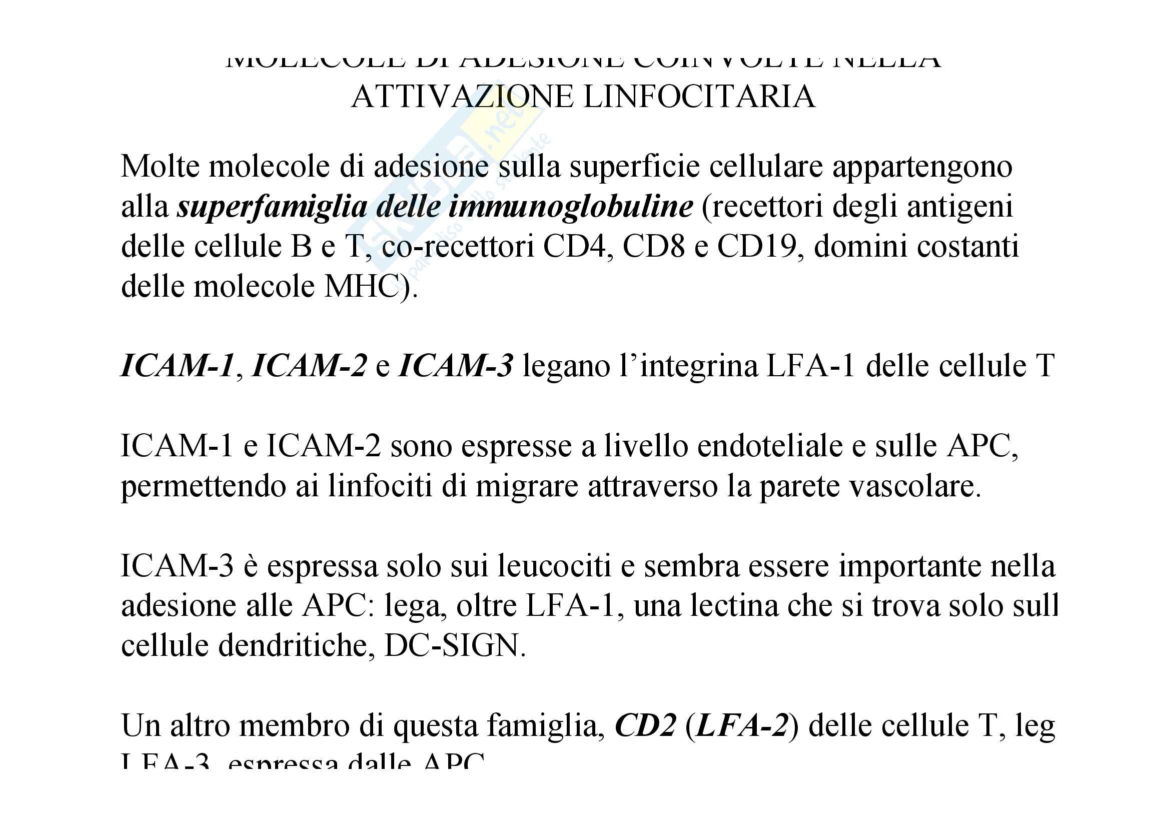 Immunologia - immunità mediata dalle cellule T Pag. 16