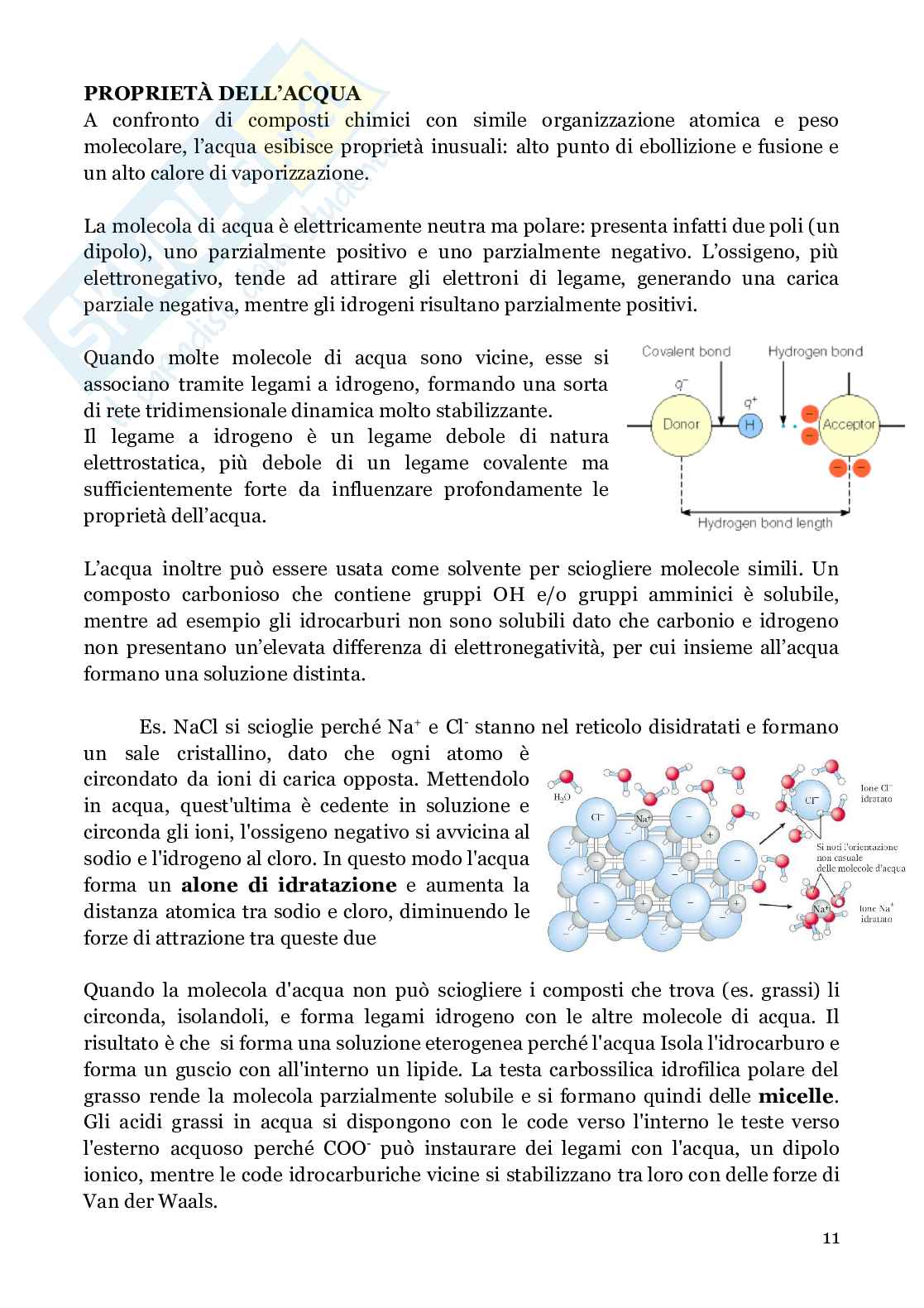 Biochimica strutturale Pag. 11
