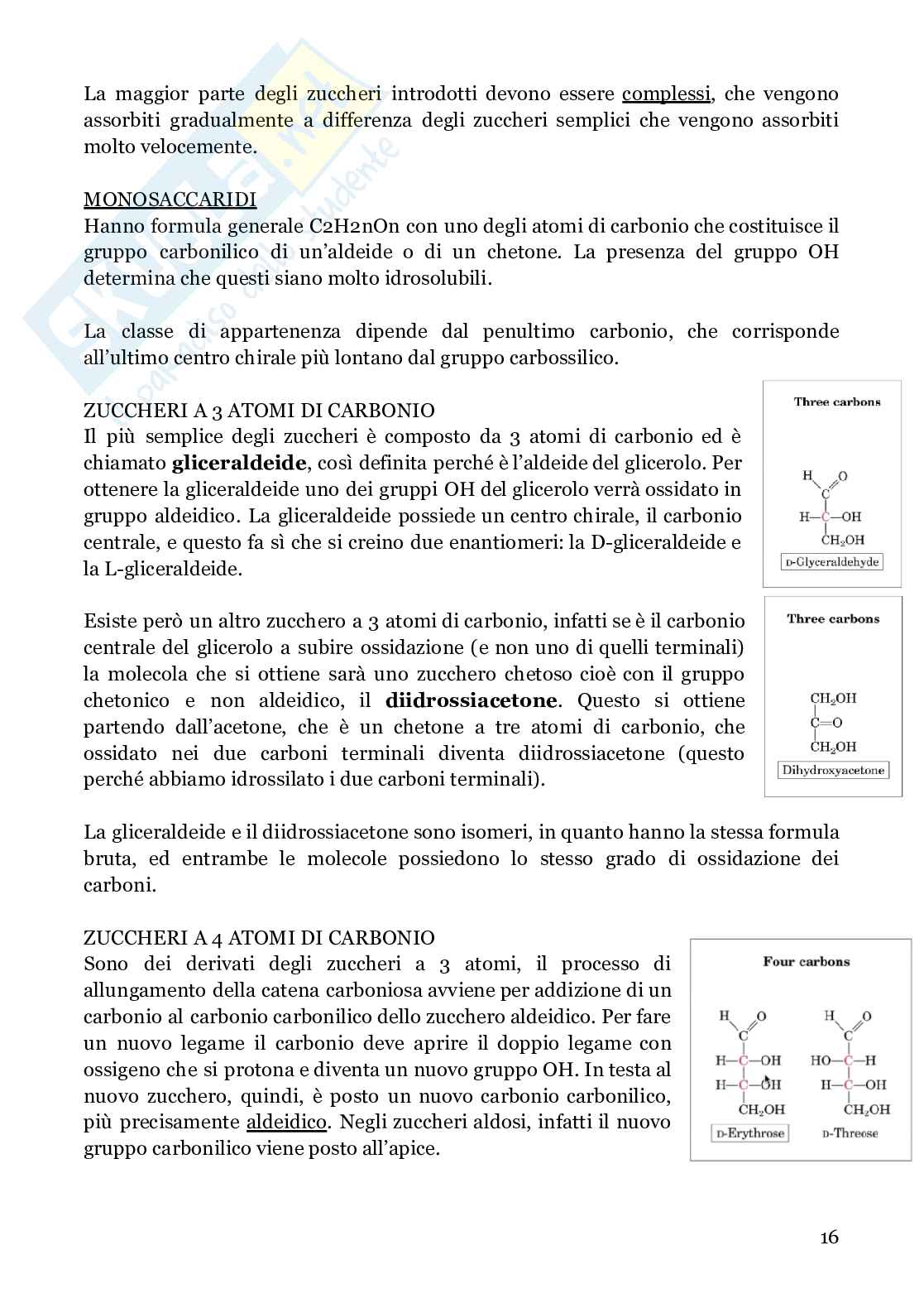 Biochimica strutturale Pag. 16
