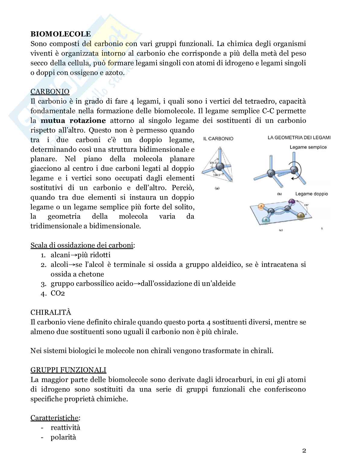 Biochimica strutturale Pag. 2