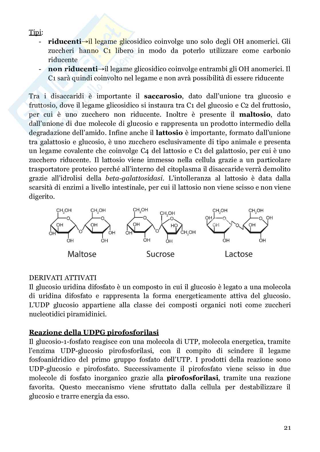 Biochimica strutturale Pag. 21
