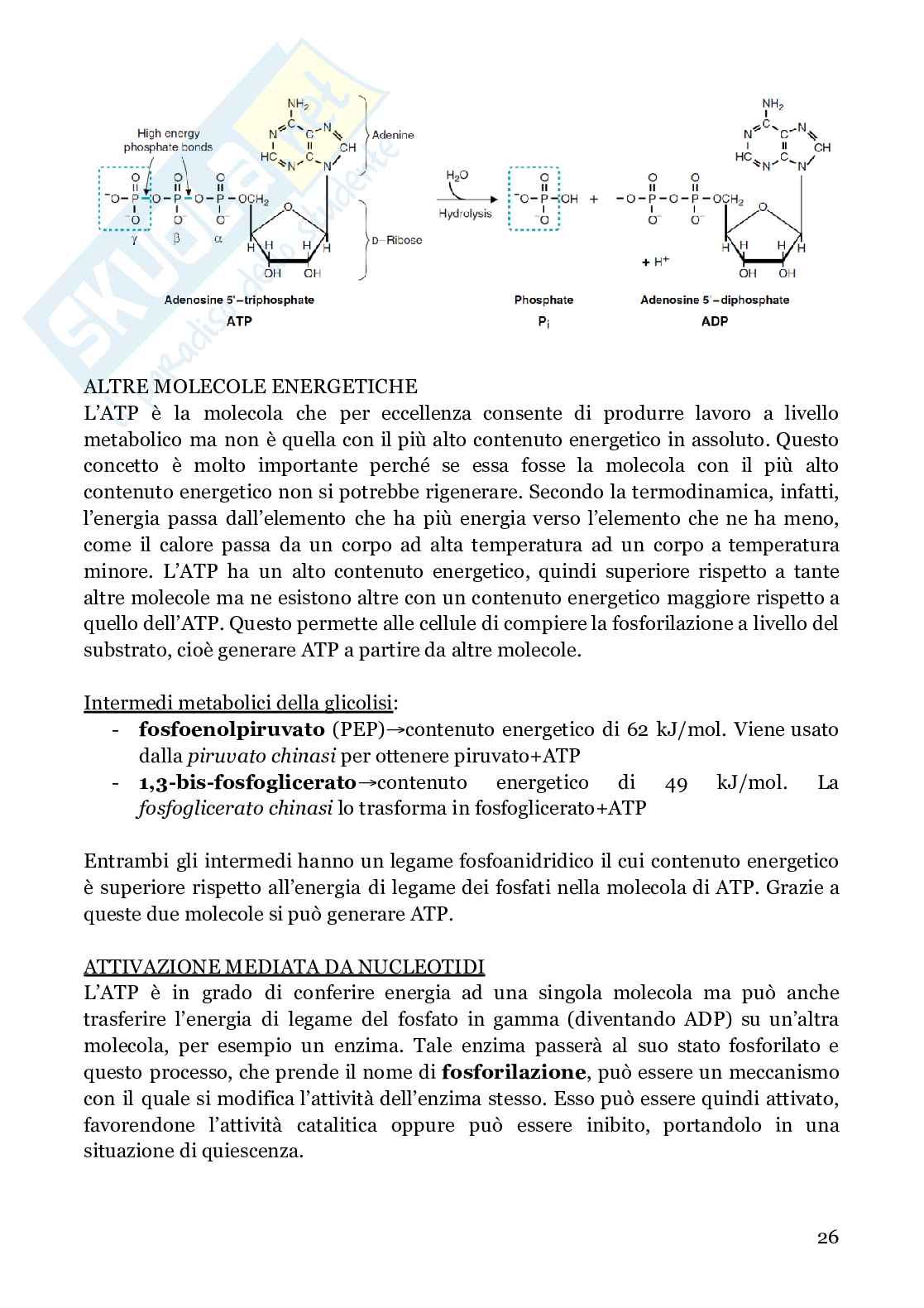 Biochimica strutturale Pag. 26