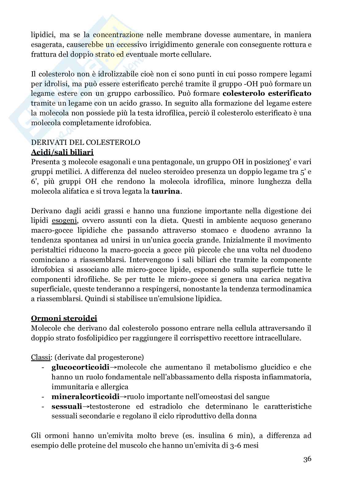 Biochimica strutturale Pag. 36