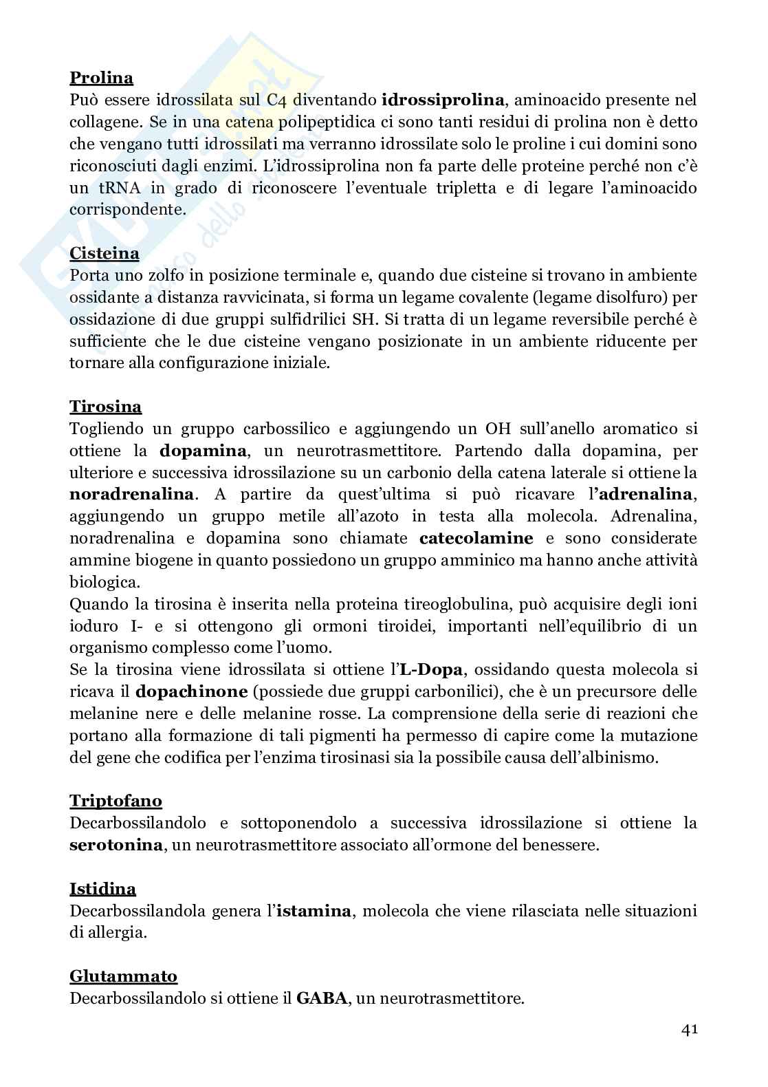 Biochimica strutturale Pag. 41