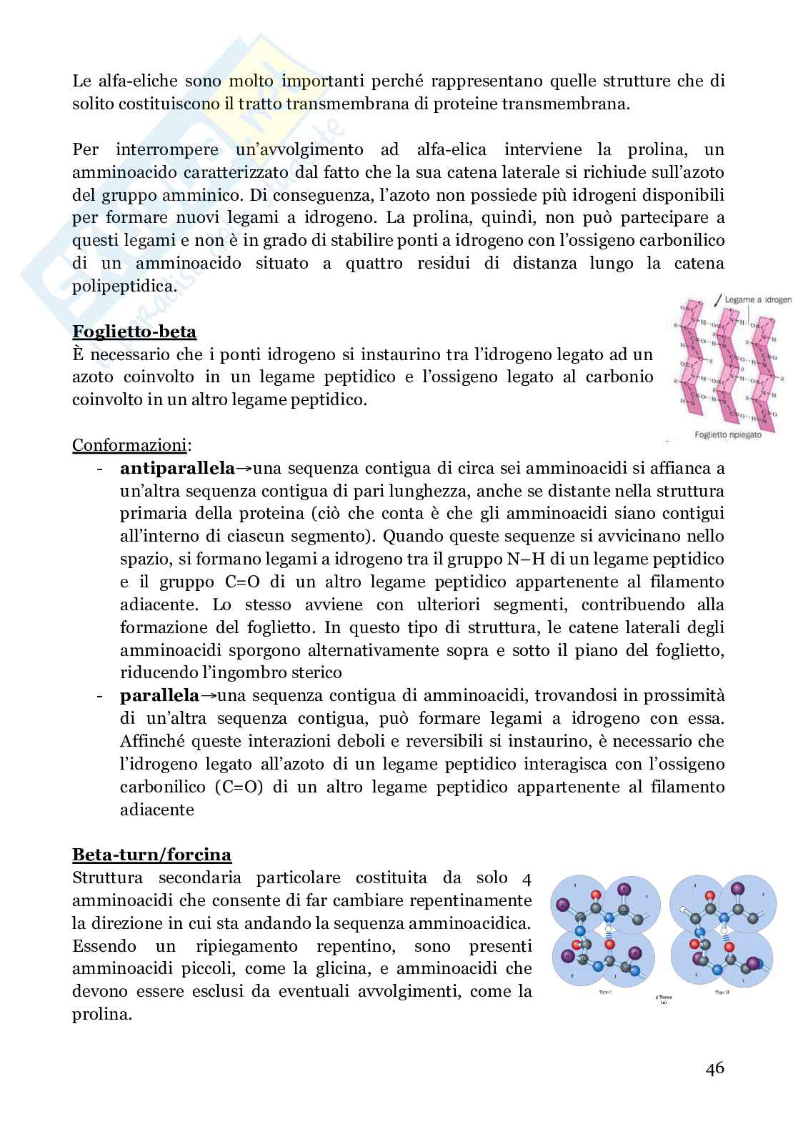 Biochimica strutturale Pag. 46
