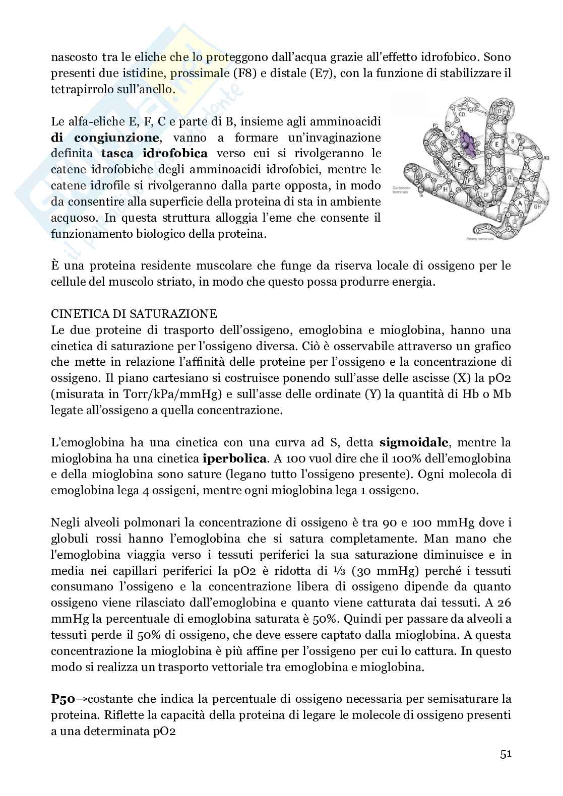 Biochimica strutturale Pag. 51