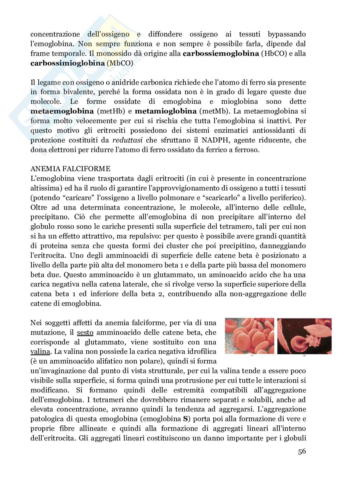 Biochimica strutturale Pag. 56
