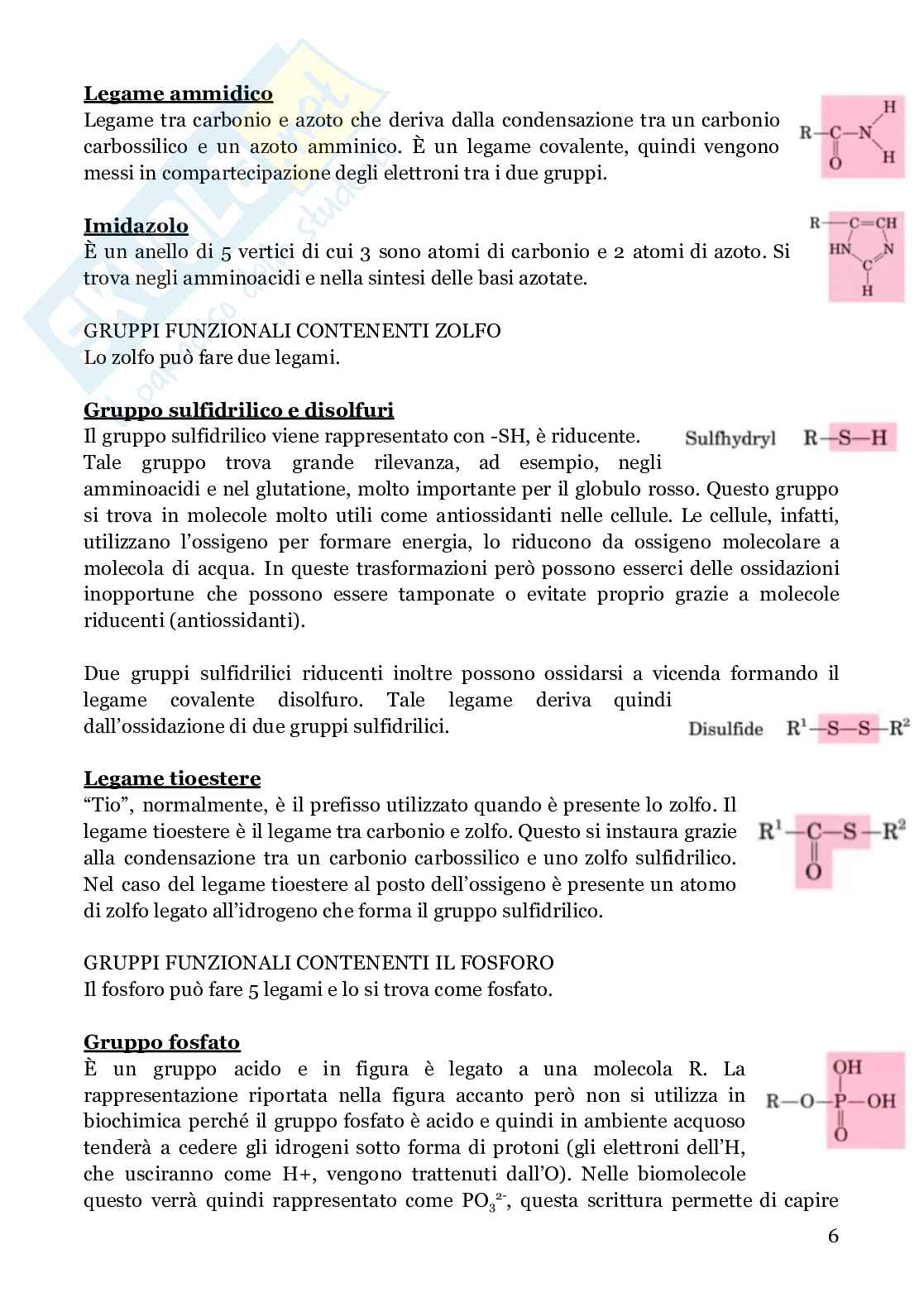 Biochimica strutturale Pag. 6
