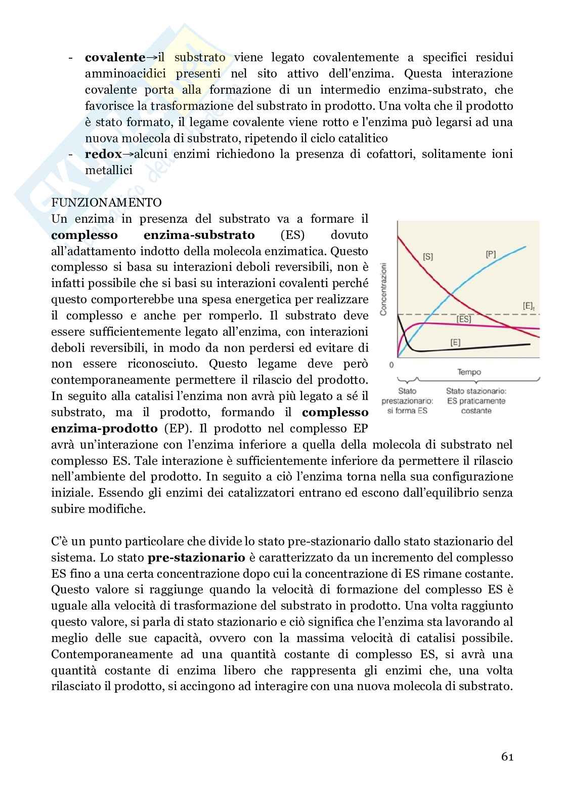 Biochimica strutturale Pag. 61