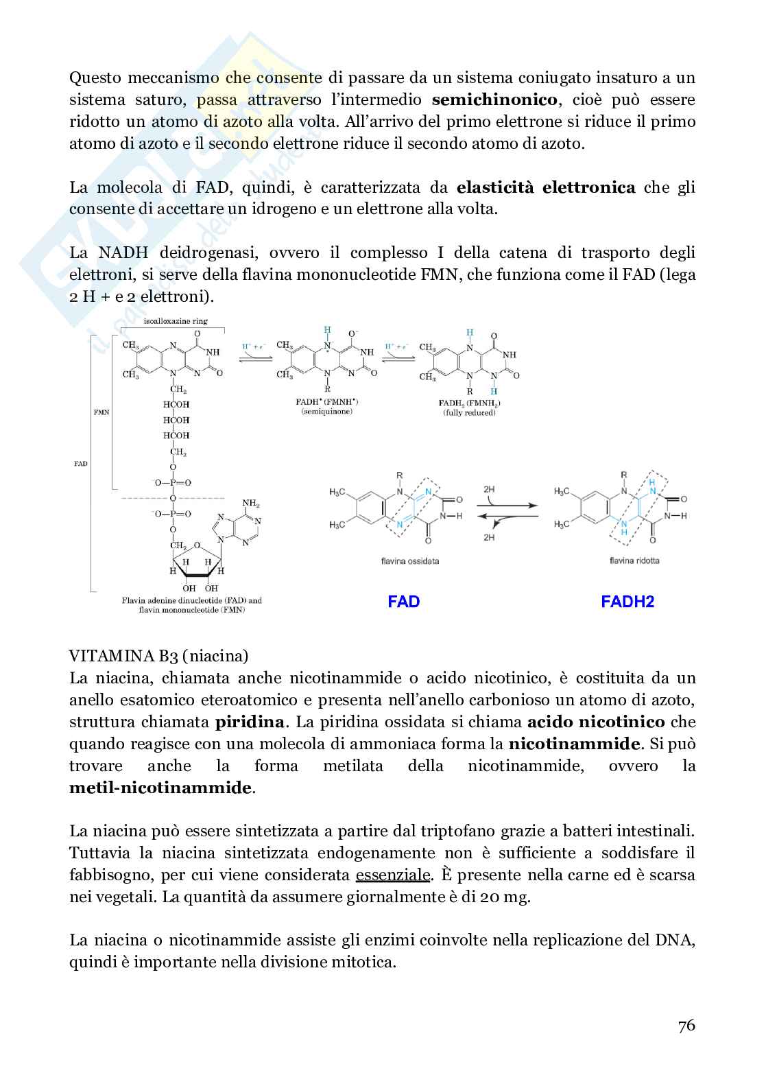 Biochimica strutturale Pag. 76