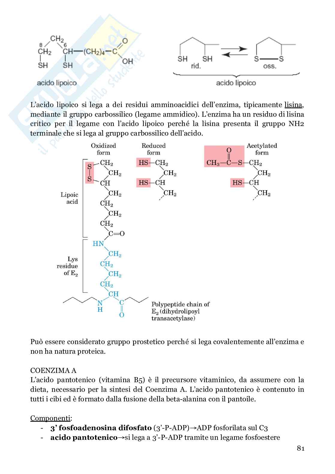 Biochimica strutturale Pag. 81