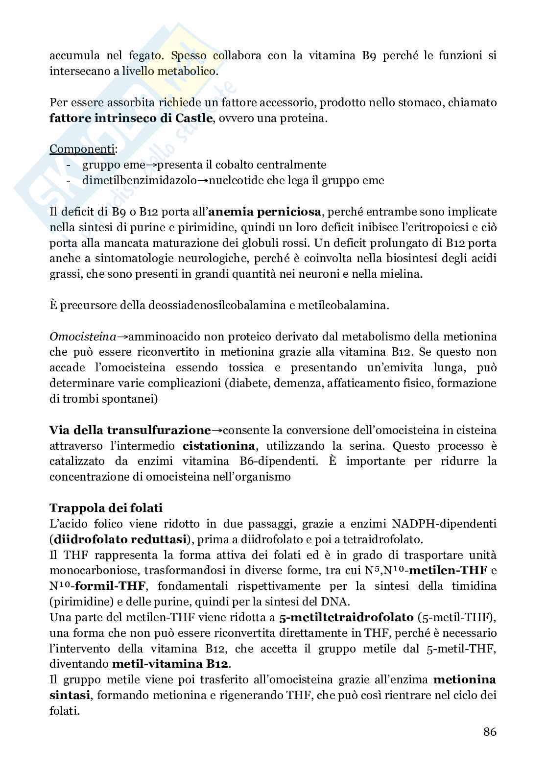 Biochimica strutturale Pag. 86