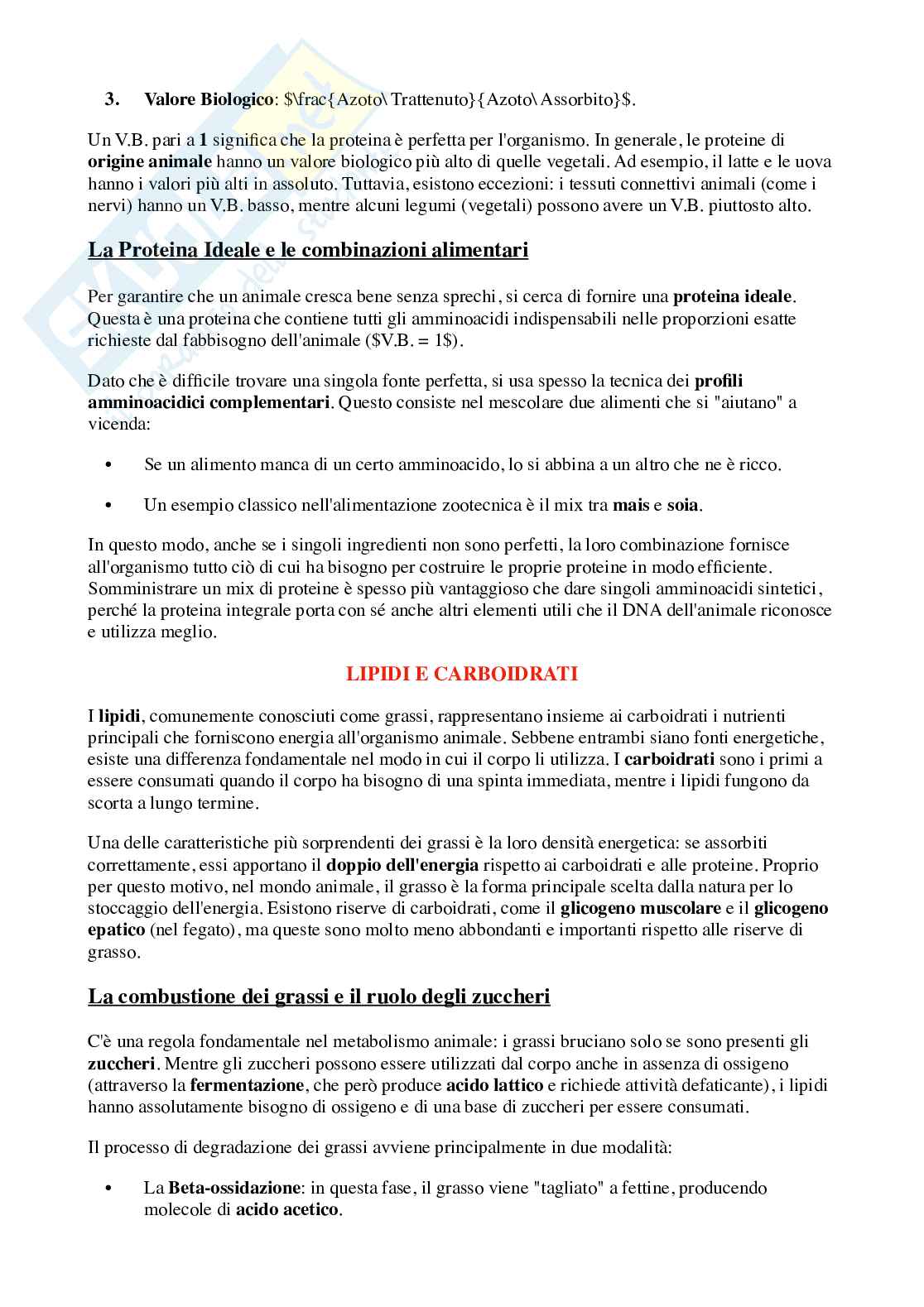 Nutrizione ed alimentazione degli animali Pag. 16
