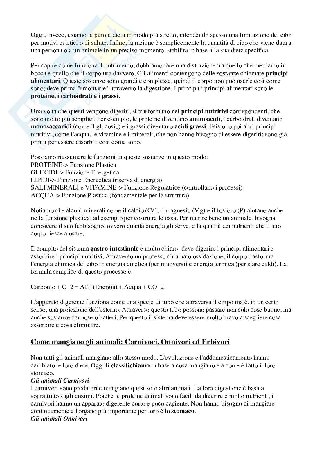 Nutrizione ed alimentazione degli animali Pag. 2