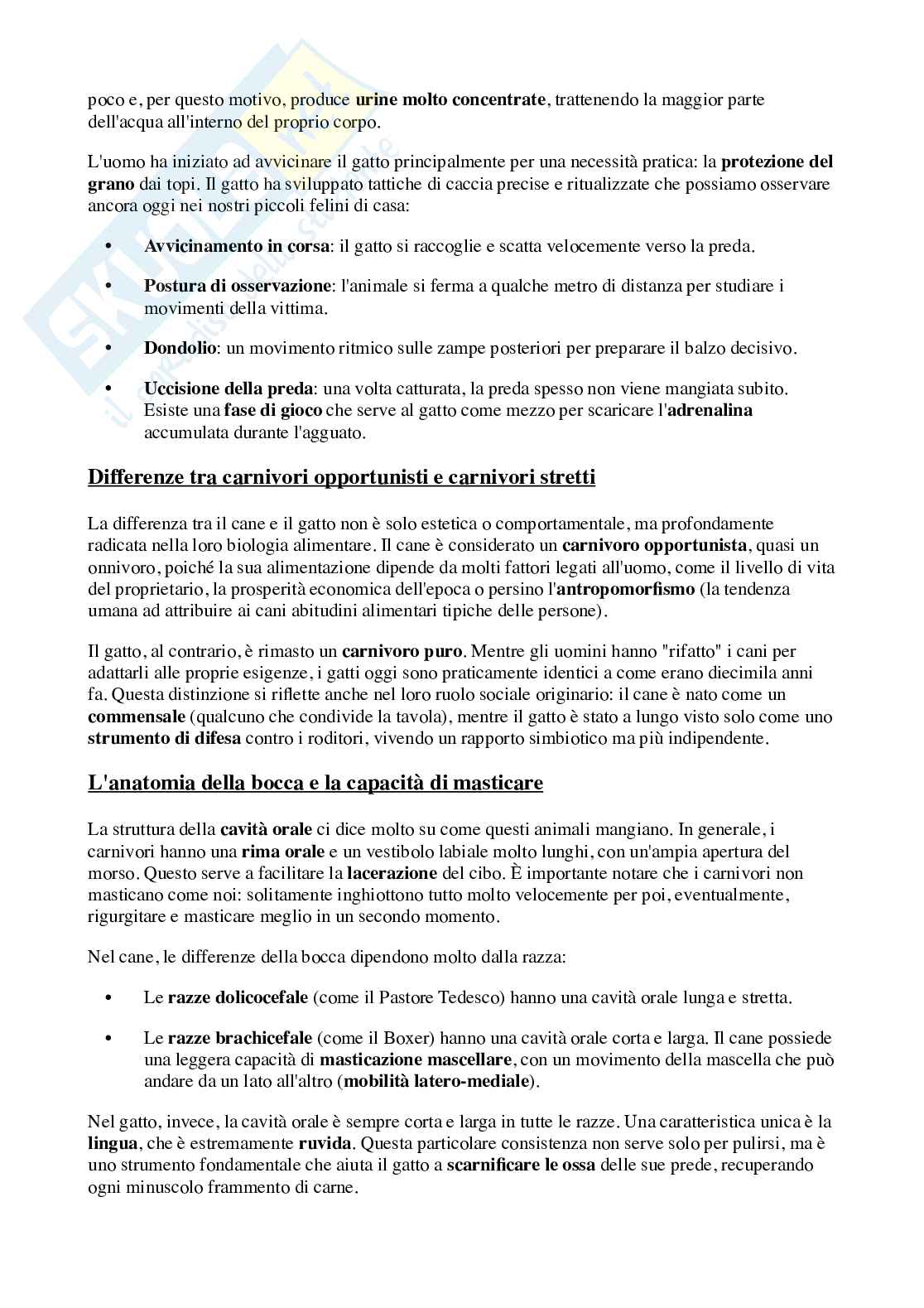 Nutrizione ed alimentazione degli animali Pag. 6