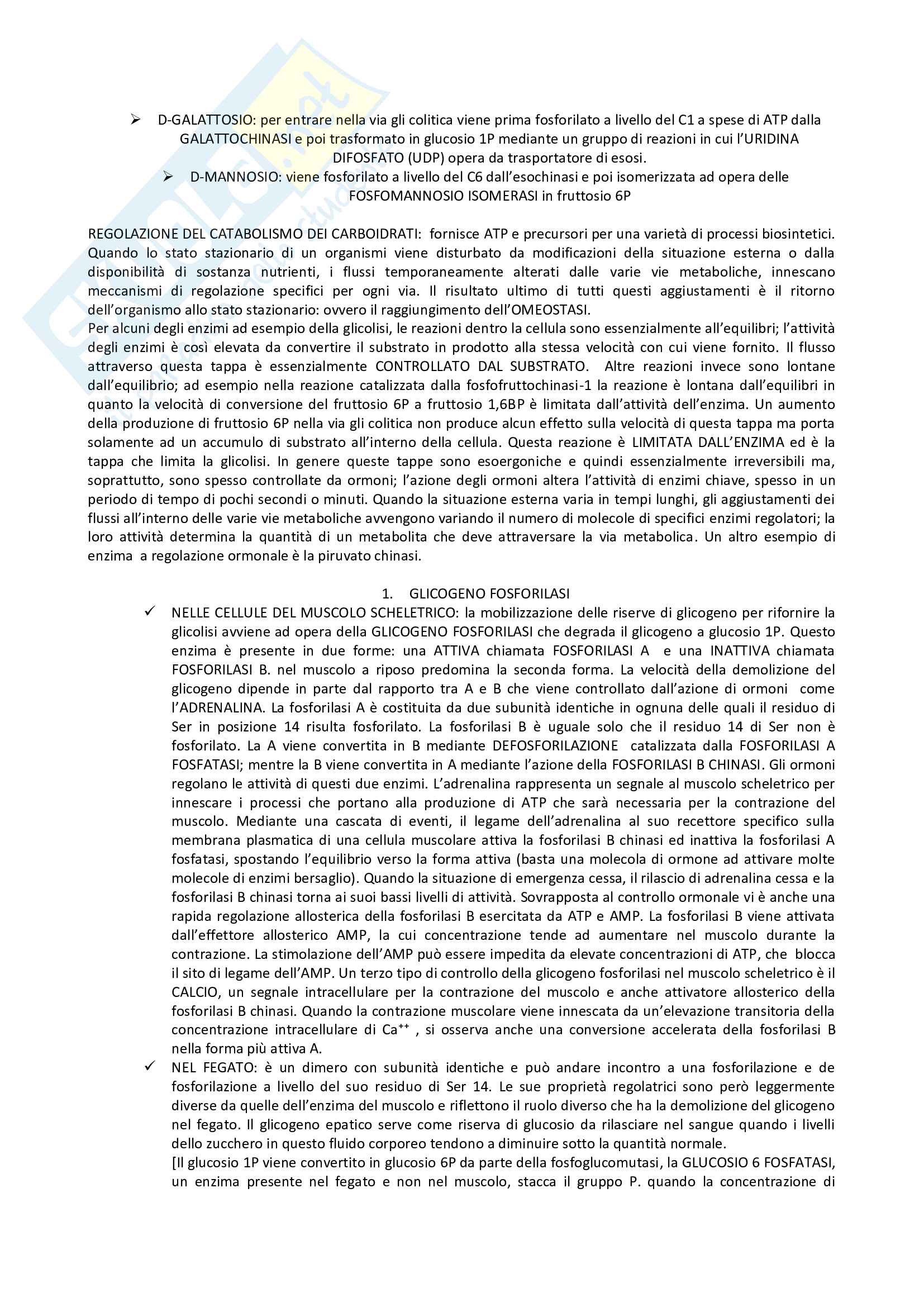 Riassunto biochimica Pag. 11