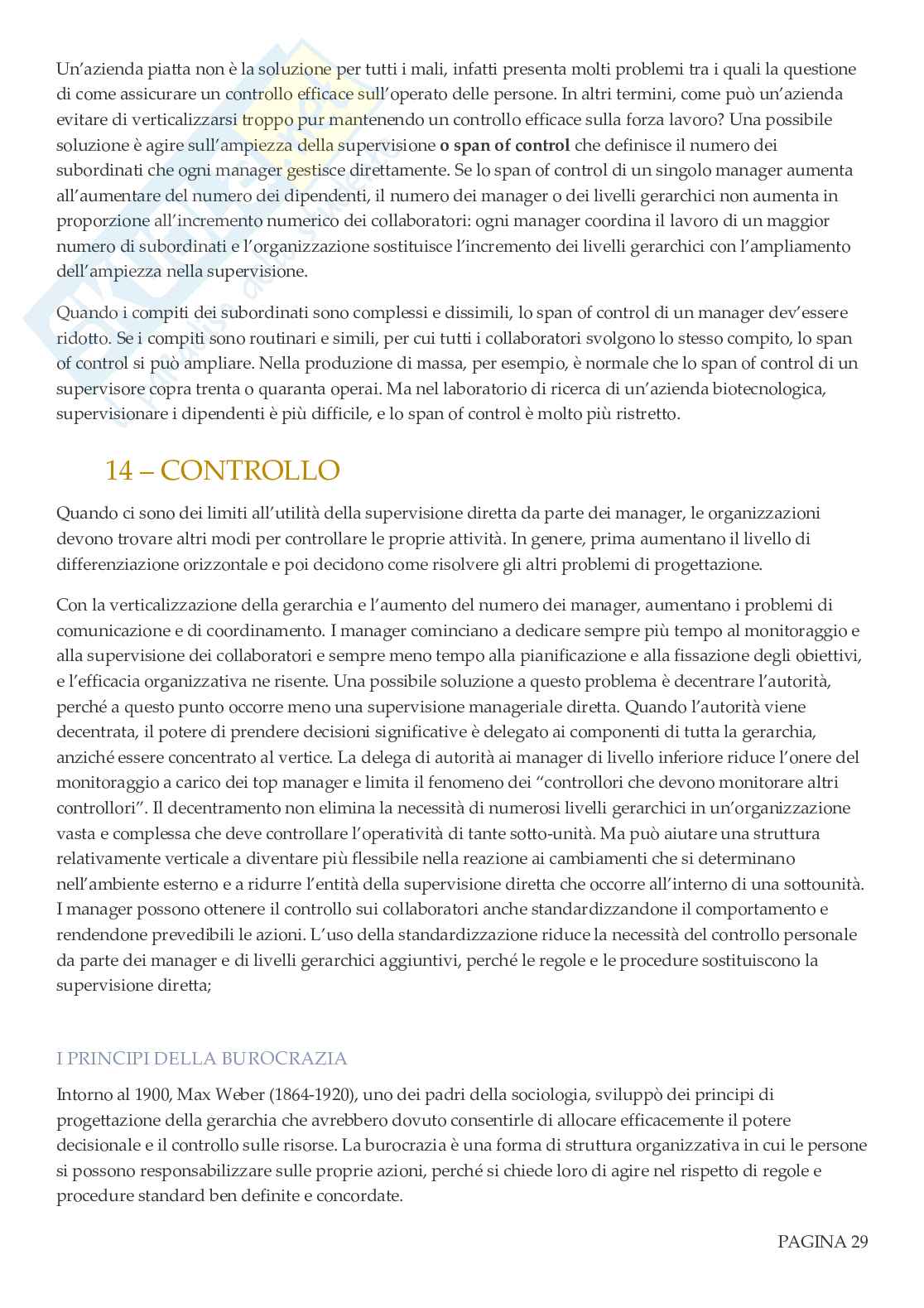 Organizzazione aziendale Pag. 31