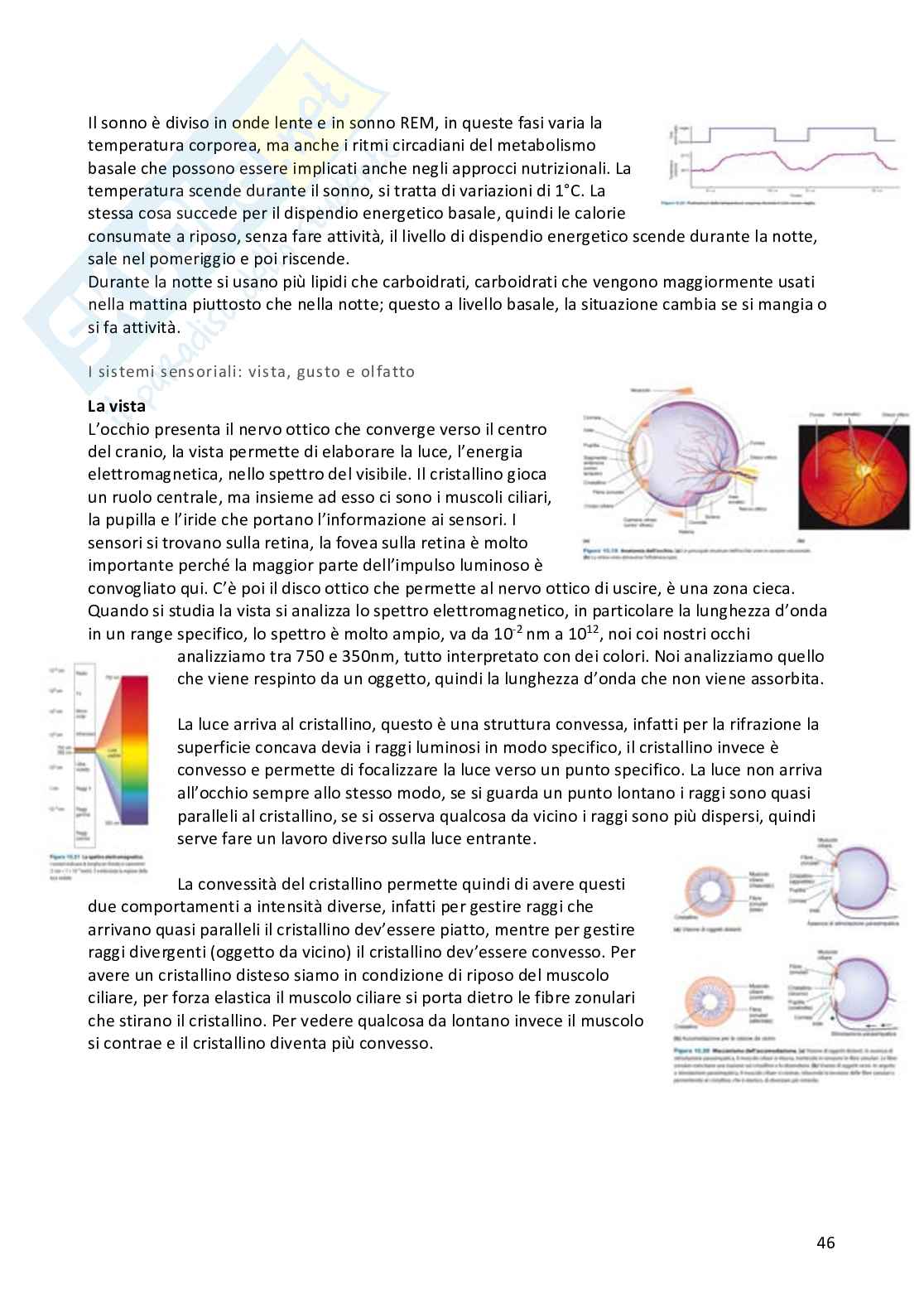 Appunti Fisiologia umana completi Pag. 46