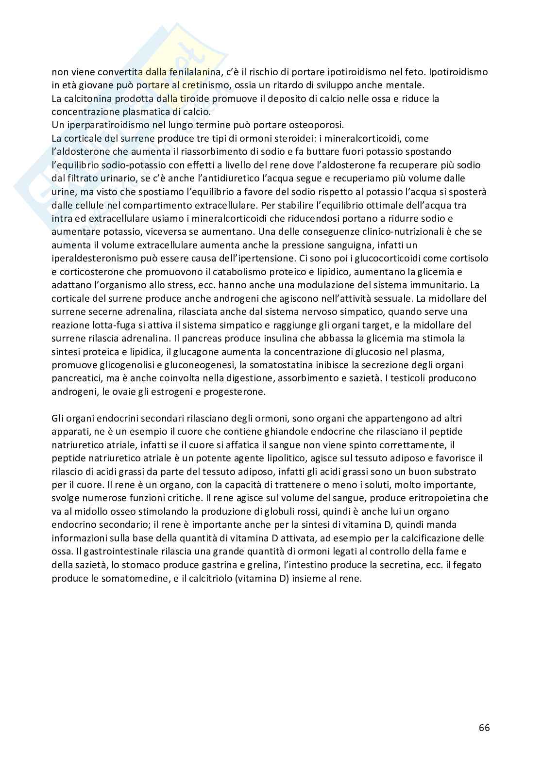 Appunti Fisiologia umana completi Pag. 66