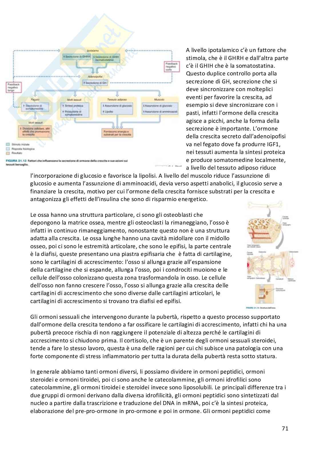 Appunti Fisiologia umana completi Pag. 71