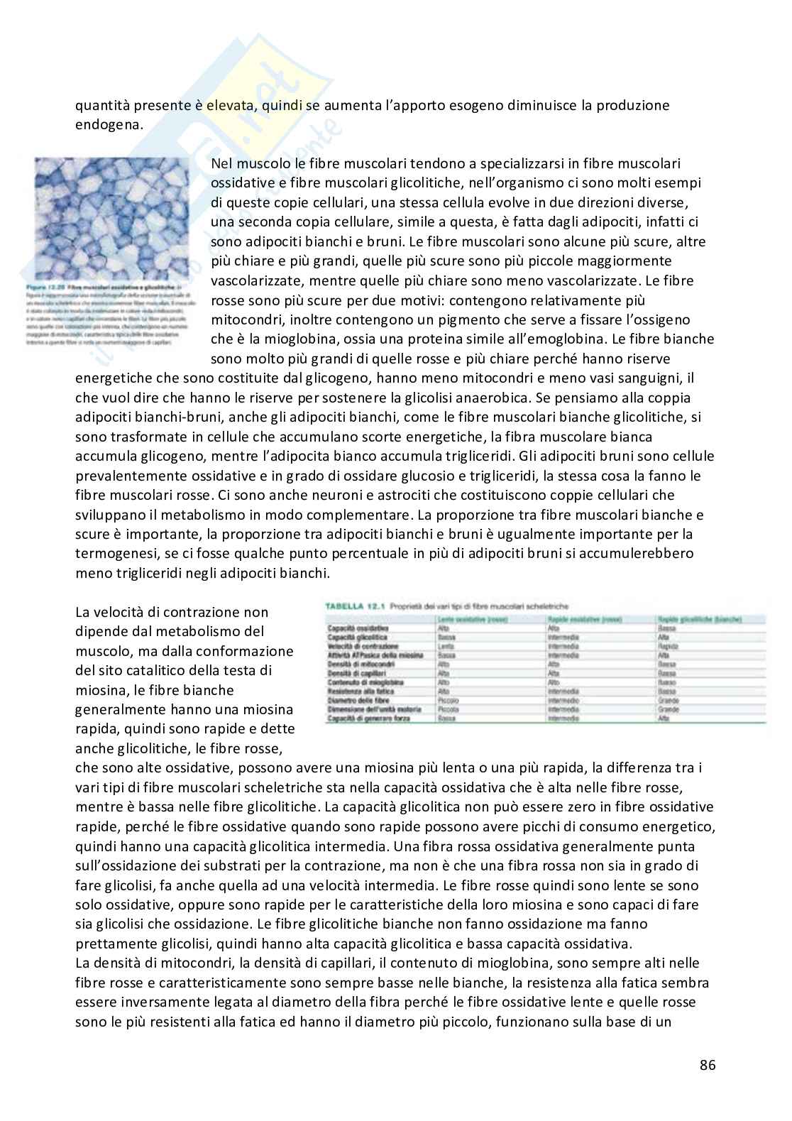 Appunti Fisiologia umana completi Pag. 86