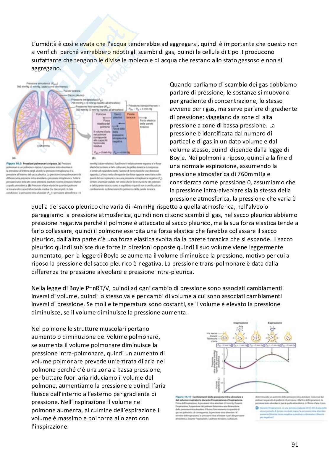 Appunti Fisiologia umana completi Pag. 91
