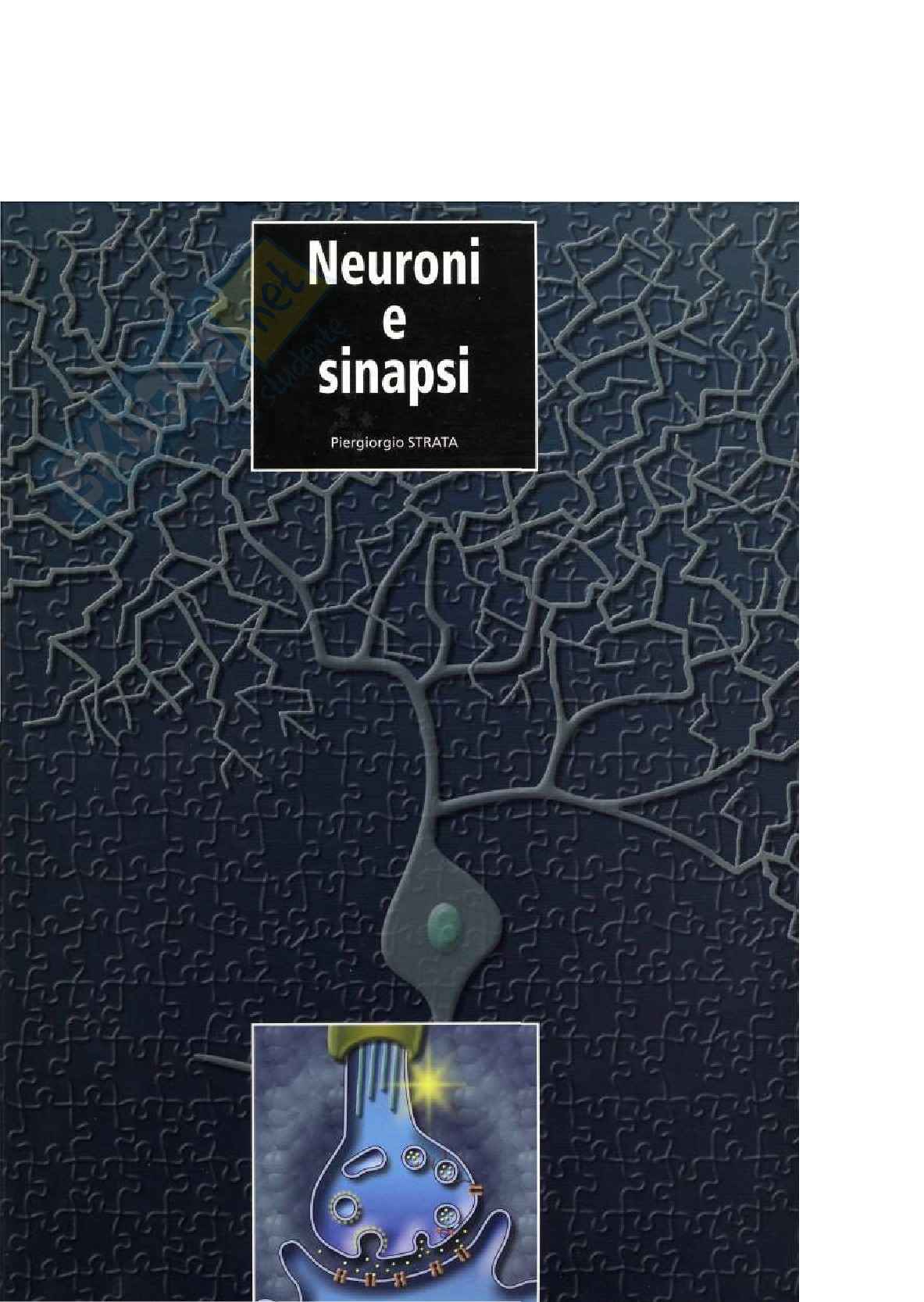Fisiologia – Neuroni e Sinapsi Pag. 1
