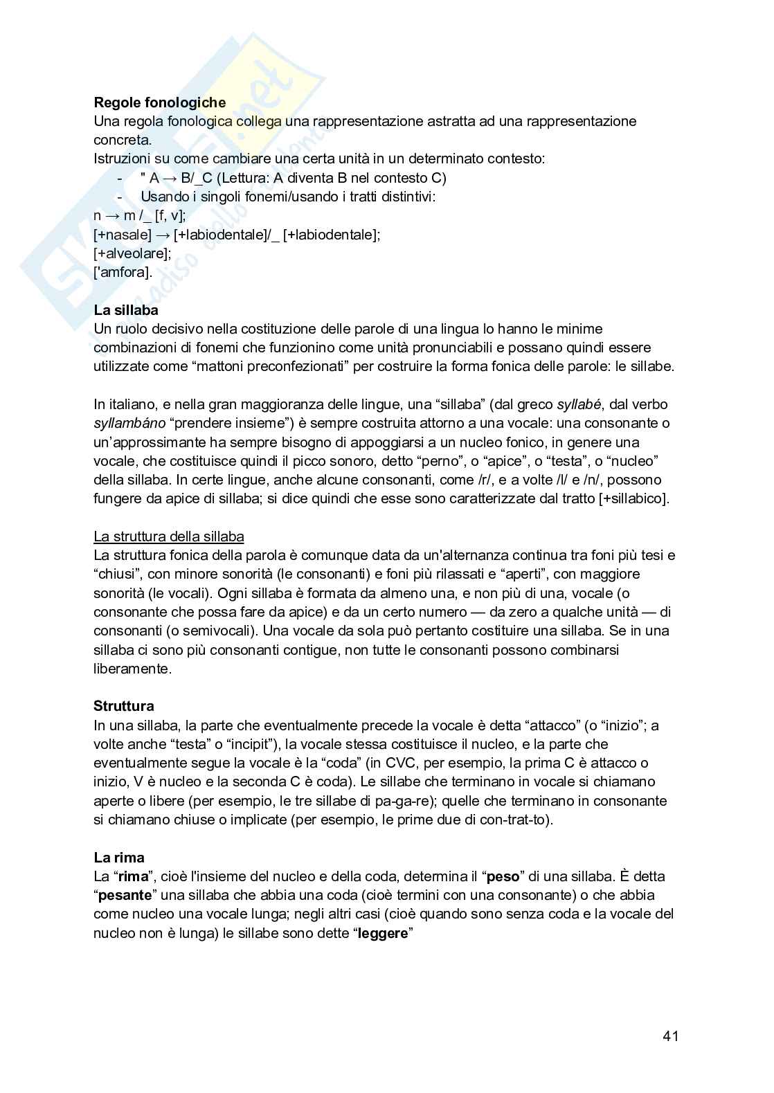 Linguistica generale 1 Pag. 41
