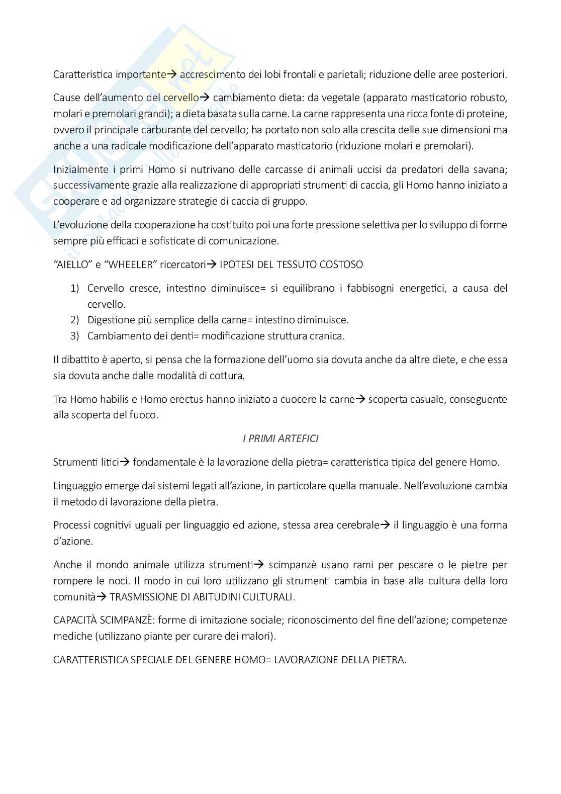 Genere homo Pag. 2