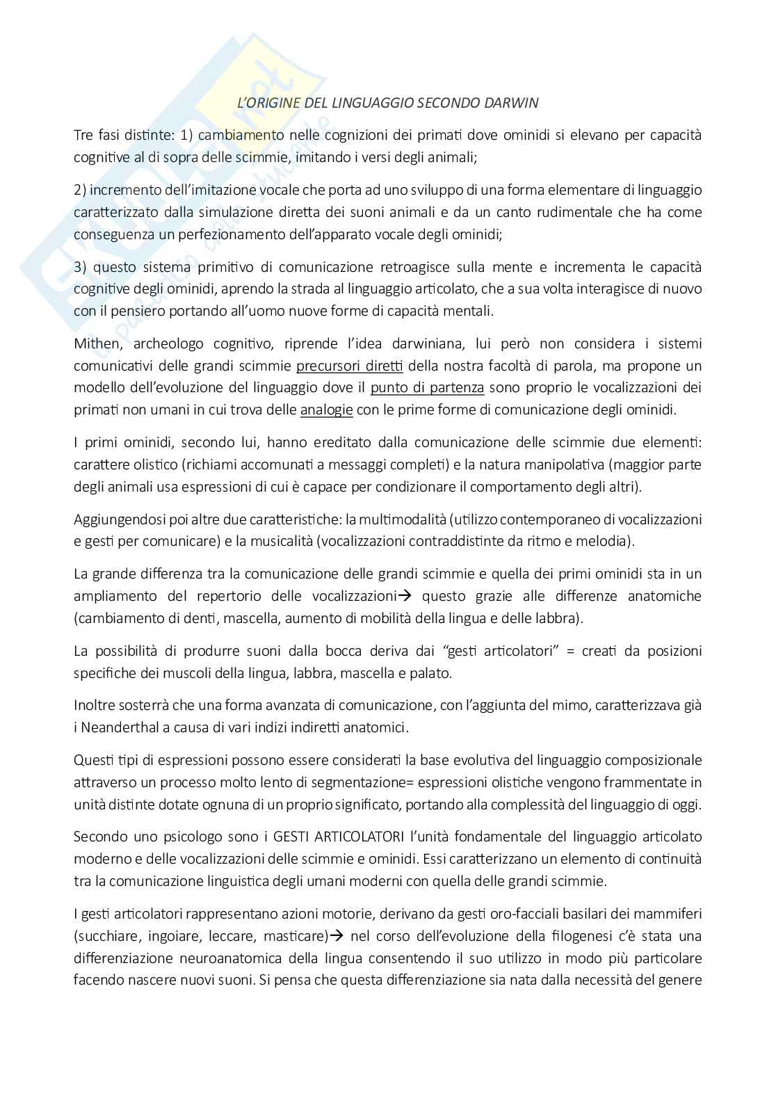 Genere homo Pag. 6