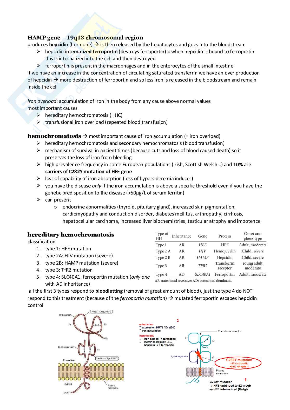 Appunti Medicina Interna (Internal Medicine, Biomolecular Basis of Organ Pathologies) Pag. 16