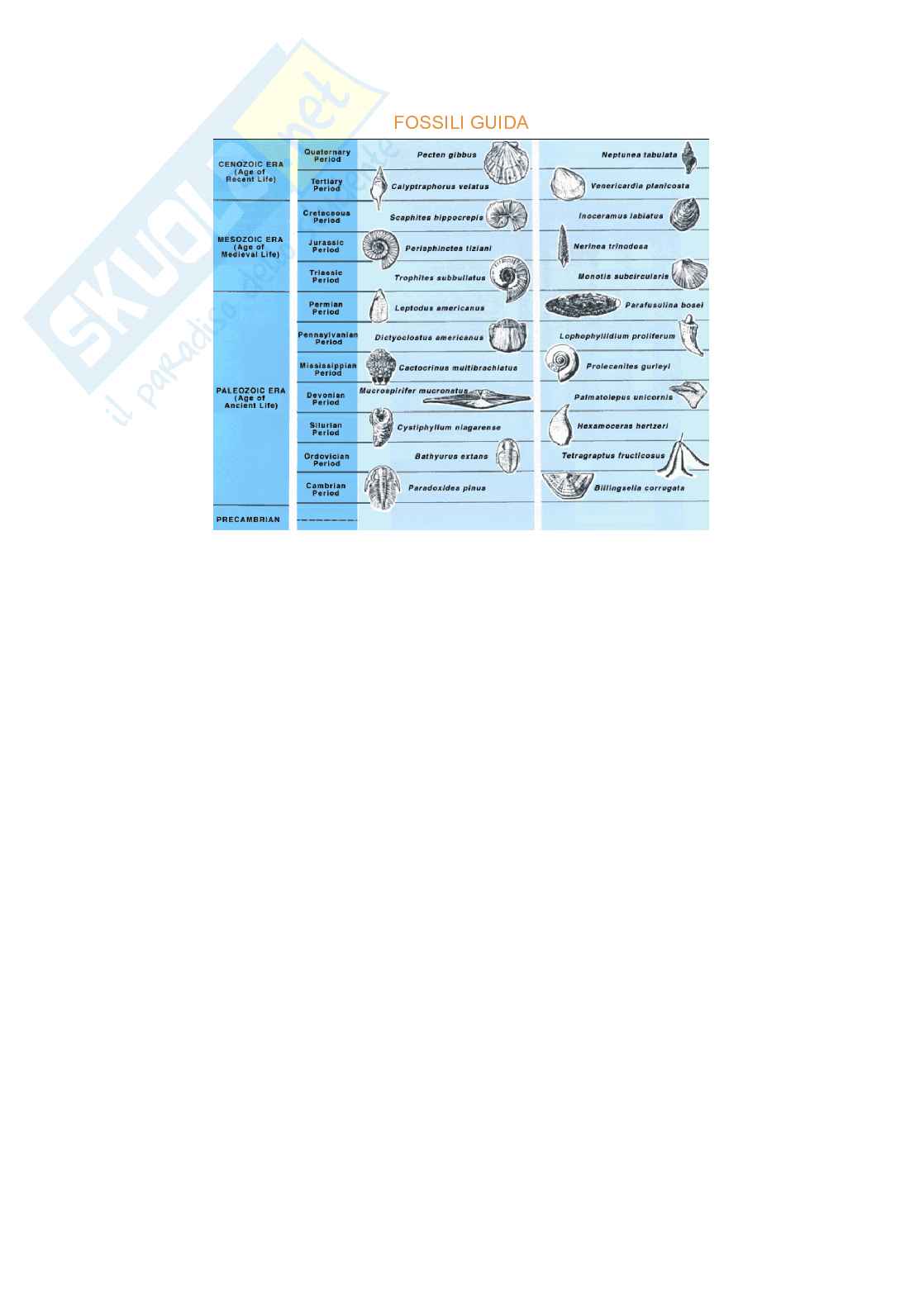 Stratigrafia Pag. 6