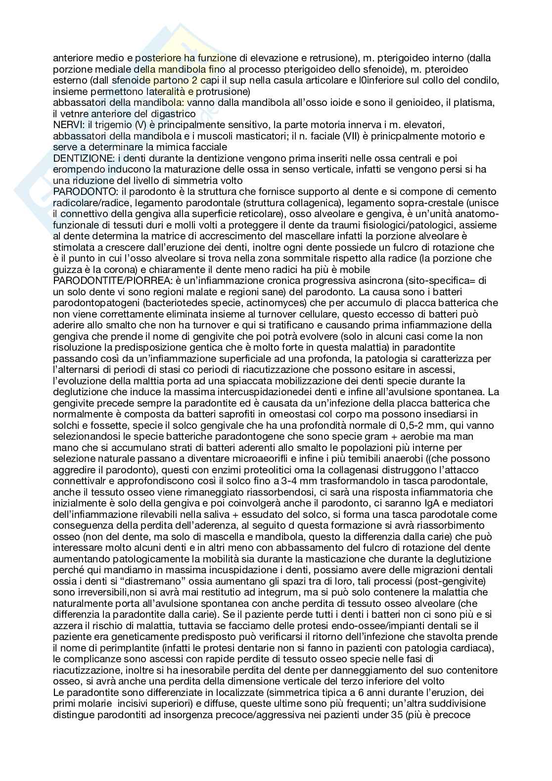 odontoiatria Pag. 2