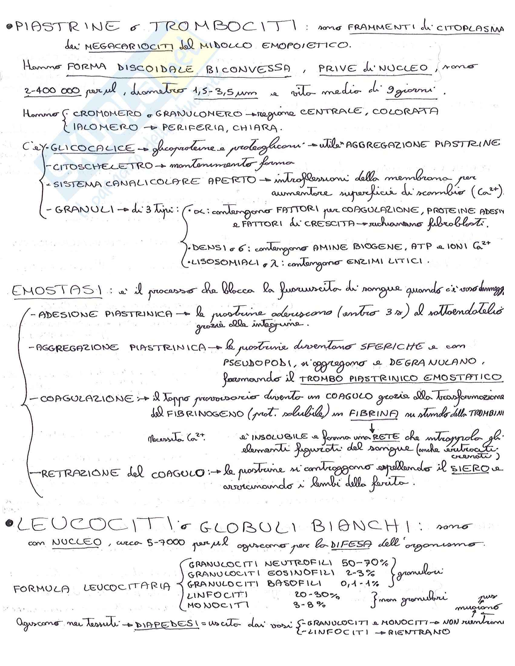 Istologia, Citologia, istologia e embriologia Pag. 36
