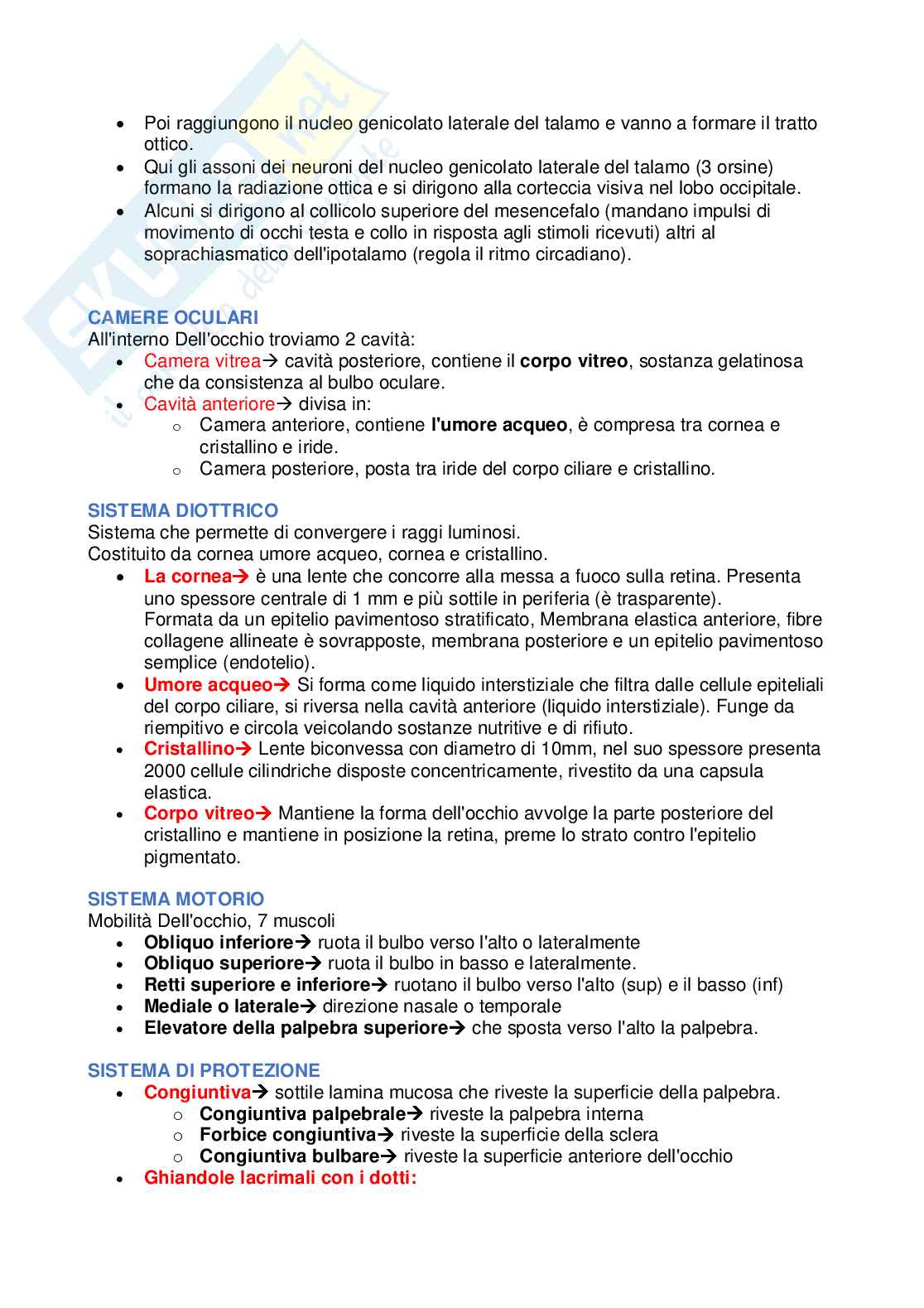 Appunti di Anatomia - 2 parziale Pag. 11