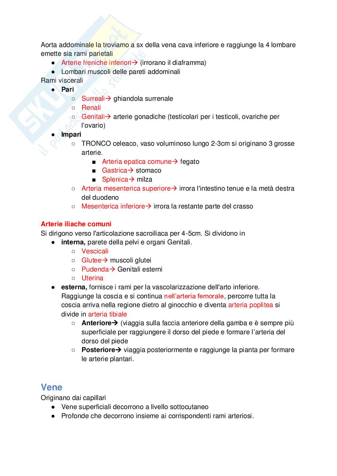 Appunti di Anatomia - 2 parziale Pag. 26